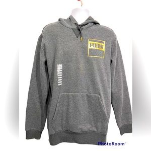 Puma Mens Gray Pullover Hoodie